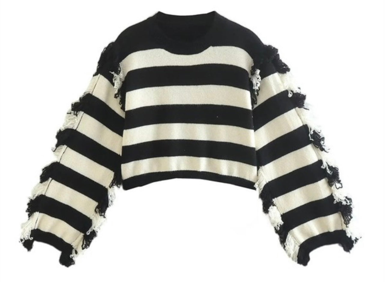Fringe Oversized Sleeve Crop Sweater
