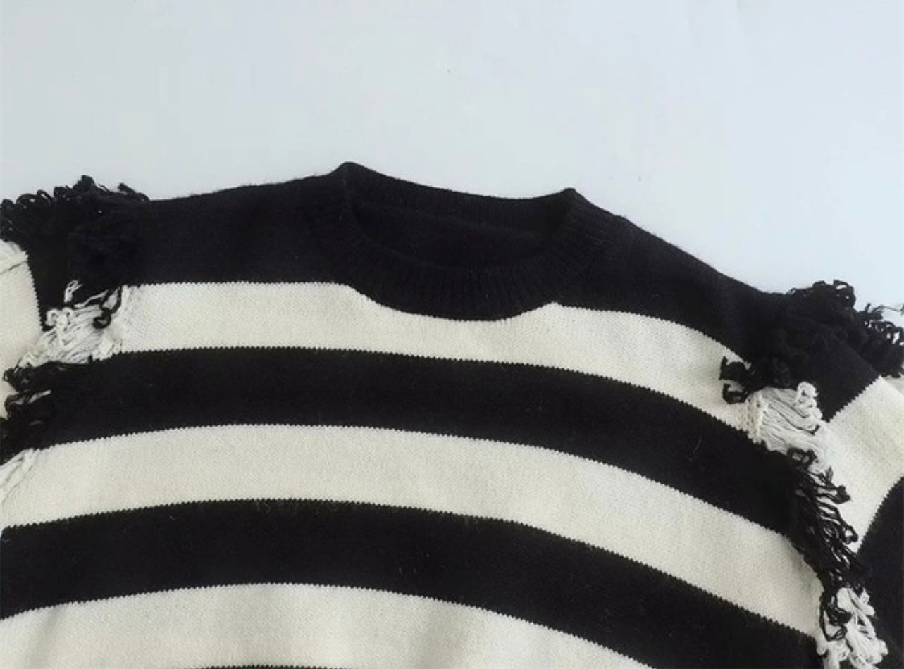 Fringe Oversized Sleeve Crop Sweater