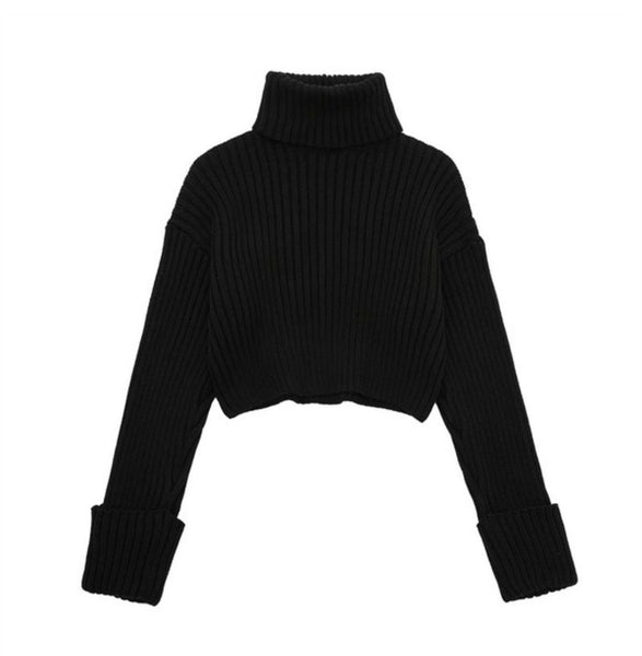 Ribbed Cropped Long Sleeve Turtleneck Sweater